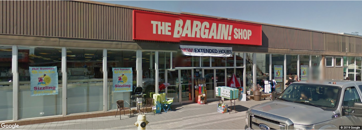 The Bargain Shop